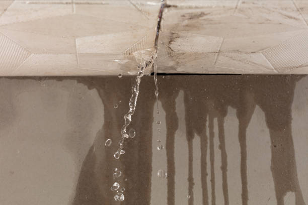 Professional Structural Drying technician working in Columbia, NJ